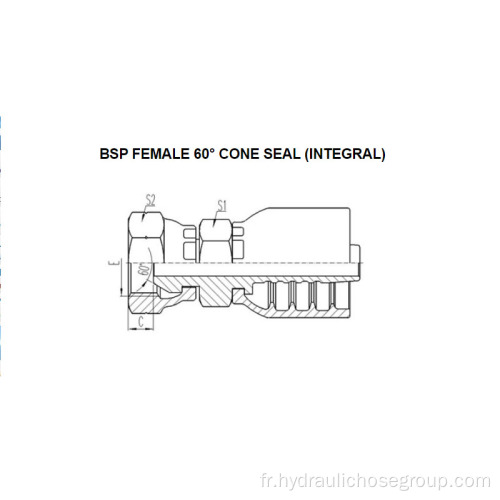 Intégral bsp femelle 60 ° Cône 22611-F